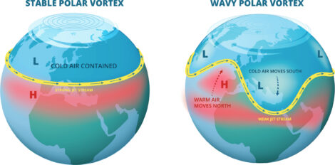 illustration of polar vortex infographic
